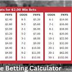 race bet calculator
